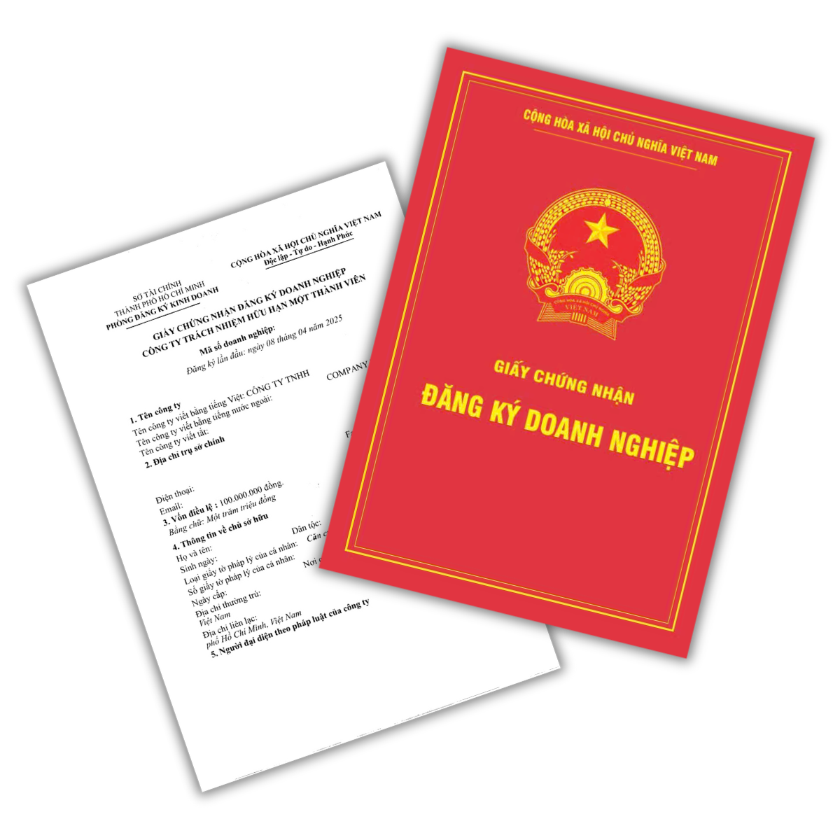 04. Trangchu Dichvu Giay phep kinh doanh